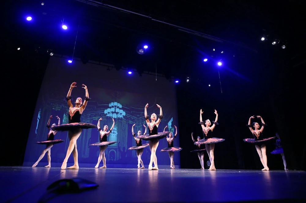 Elegance Ballet Studio Dancer