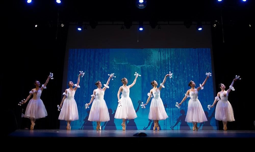 Elegance Ballet Studio Dancer