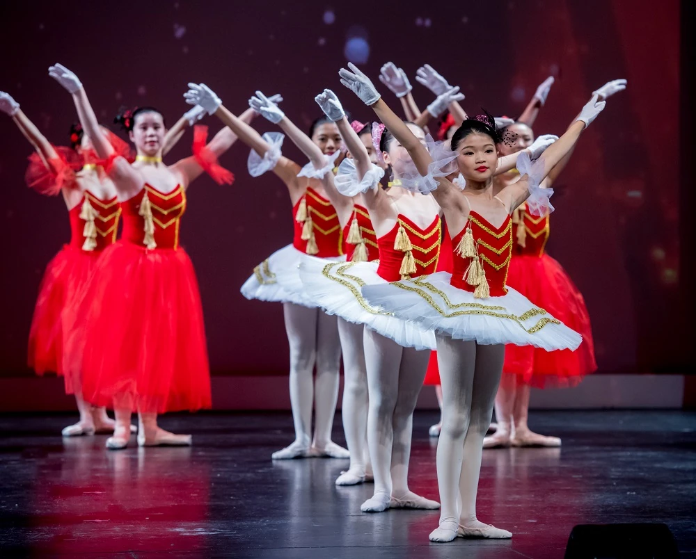 Elegance Ballet Studio Dancer
