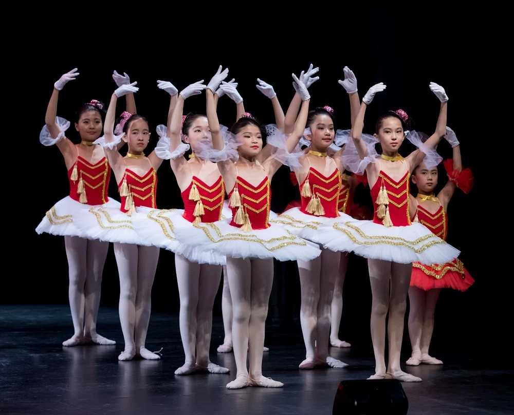 Elegance Ballet Studio Dancer
