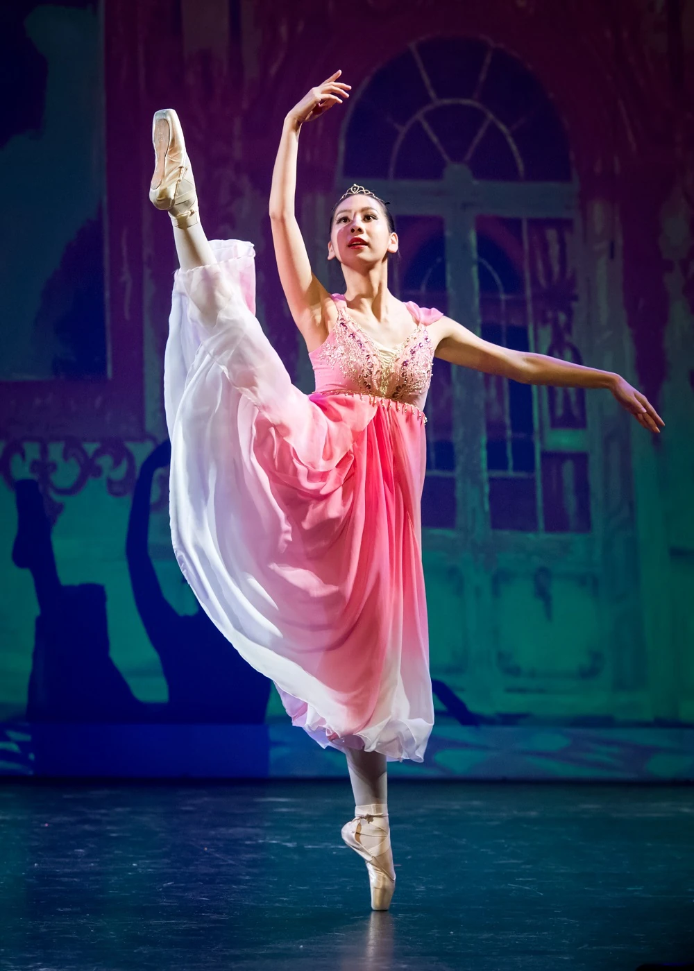 Elegance Ballet Studio Dancer