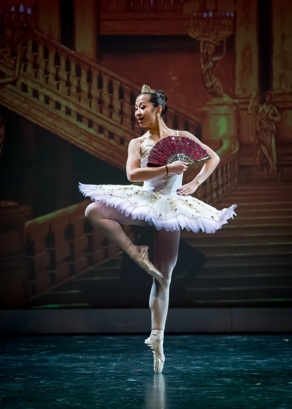 Elegance Ballet Studio Dancer