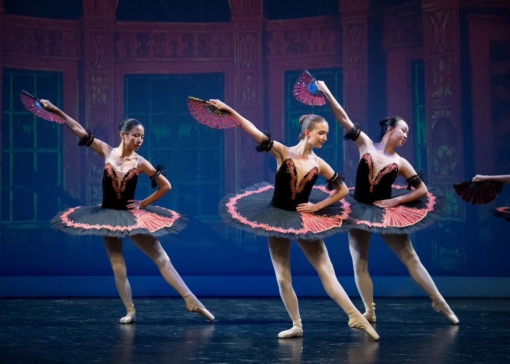 Elegance Ballet Studio Dancer
