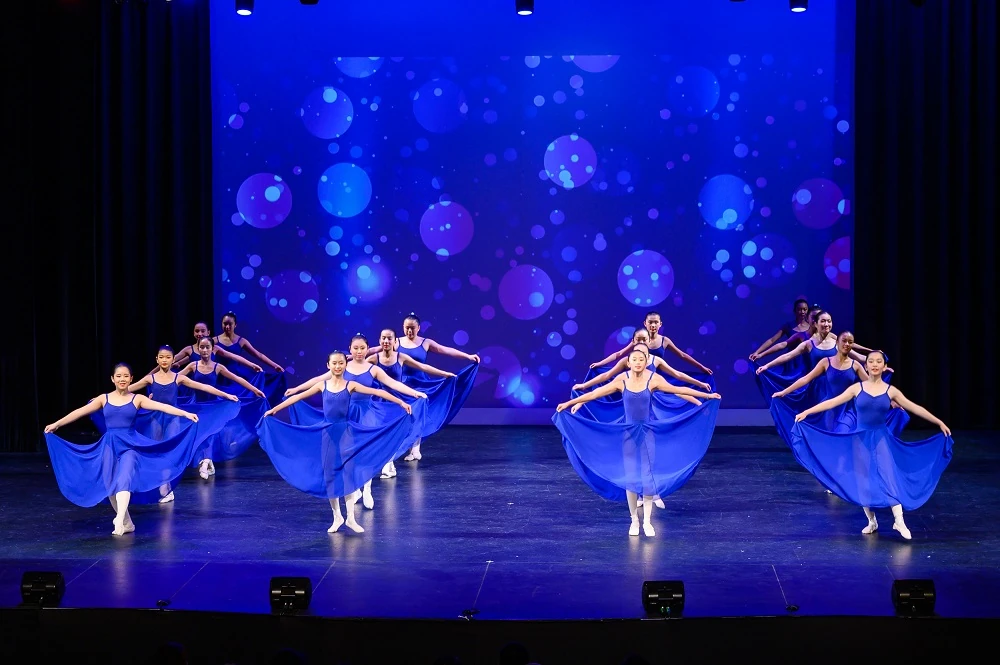 Elegance Ballet Studio Dancer