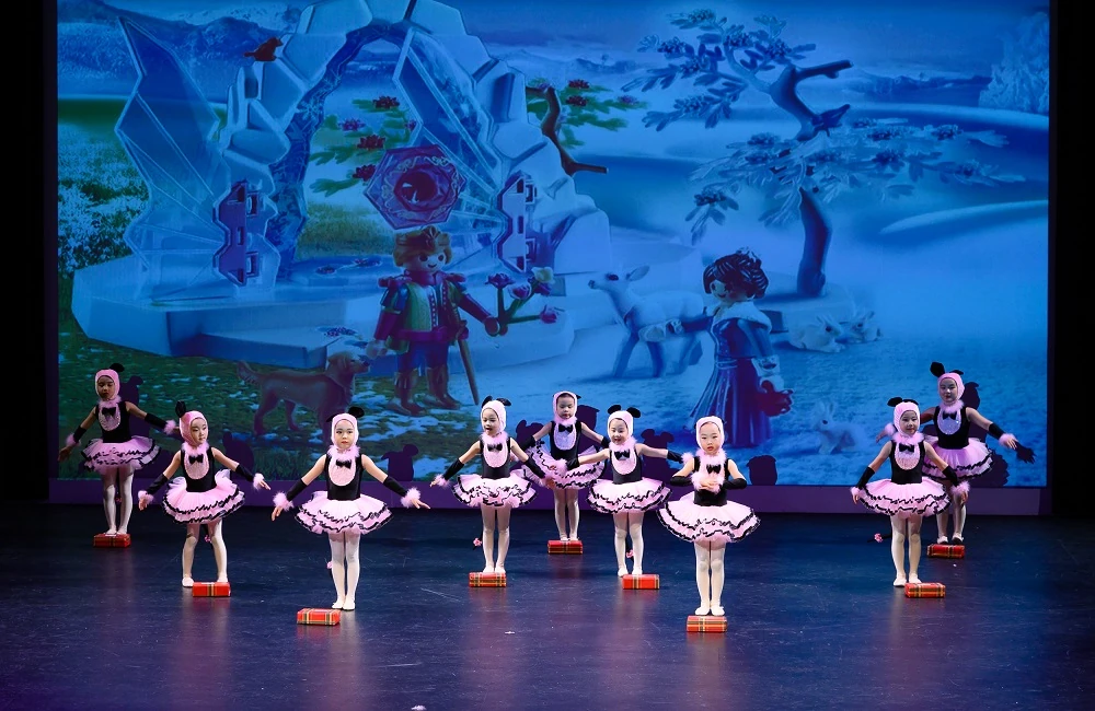 Elegance Ballet Studio Dancer