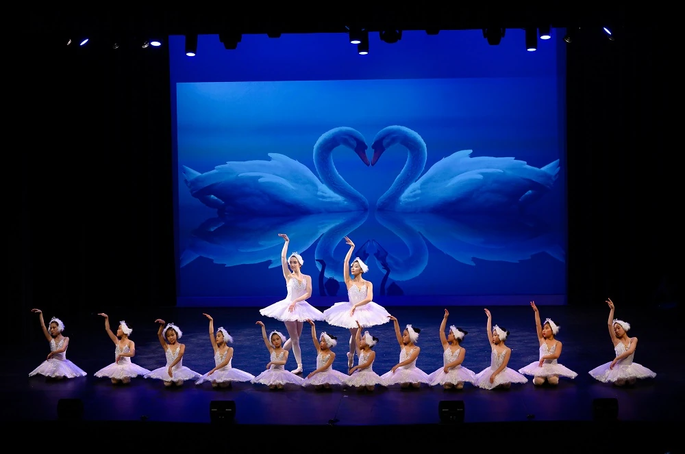 Elegance Ballet Studio Dancer
