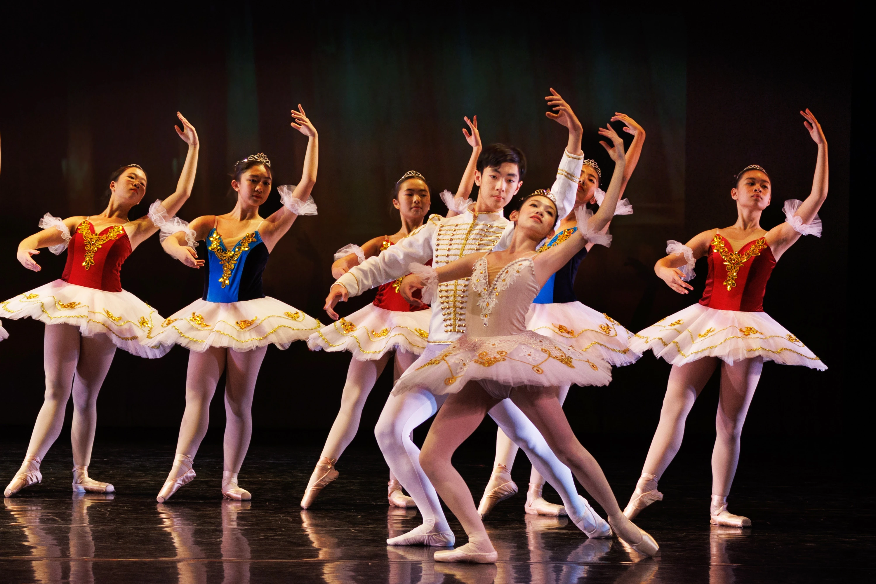 Elegance Ballet Studio Dancer