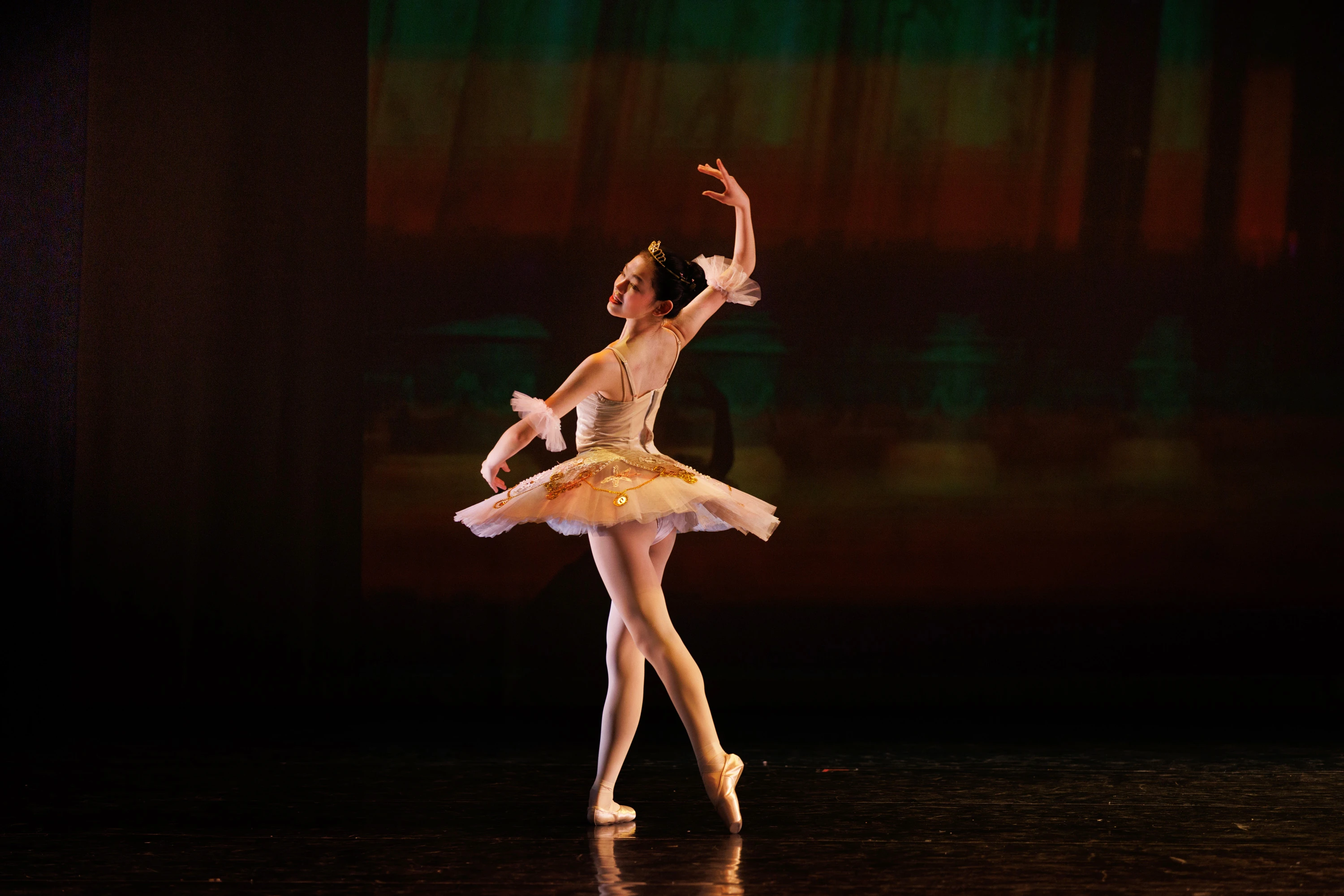 Elegance Ballet Studio Dancer