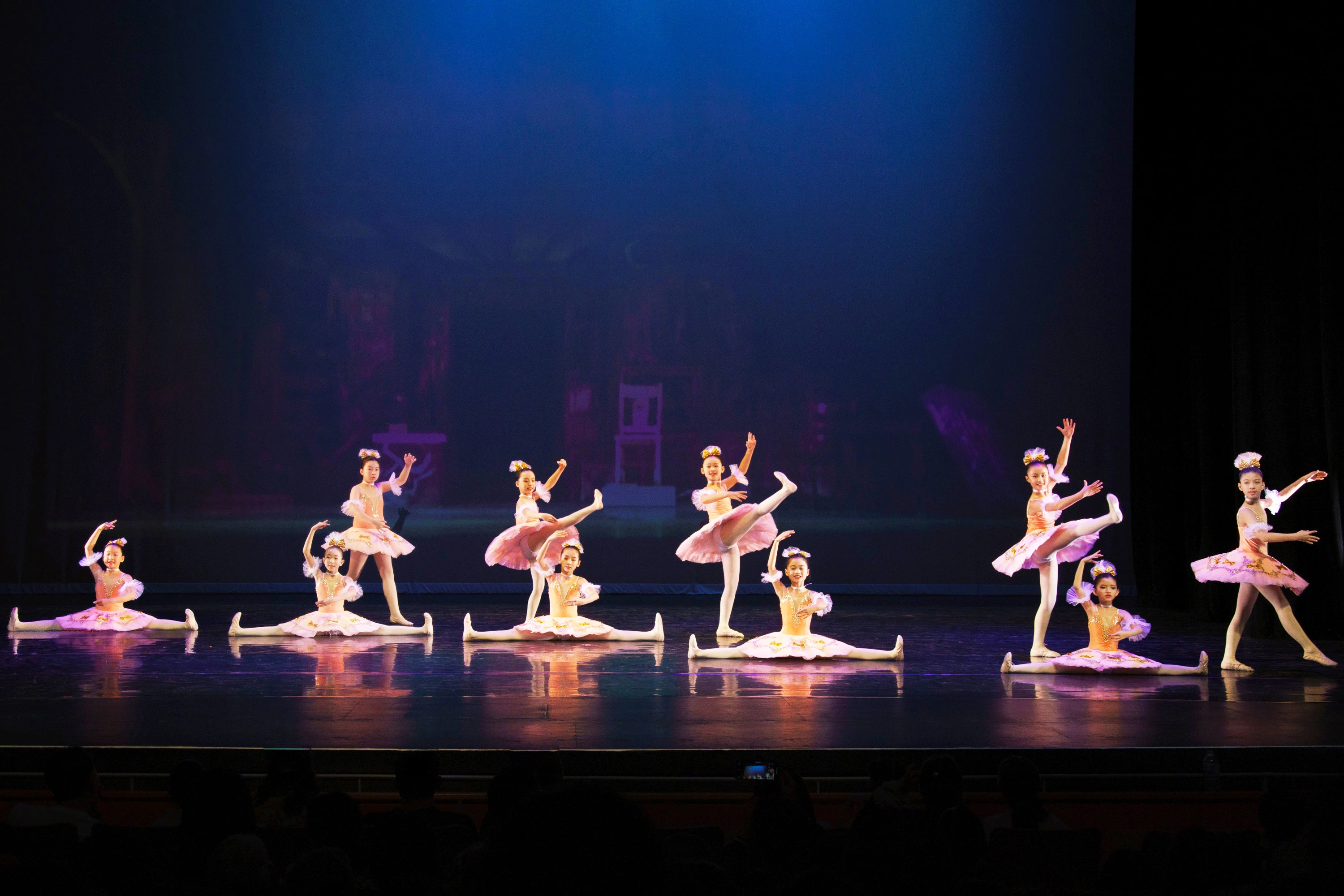 Elegance Ballet Studio Dancer