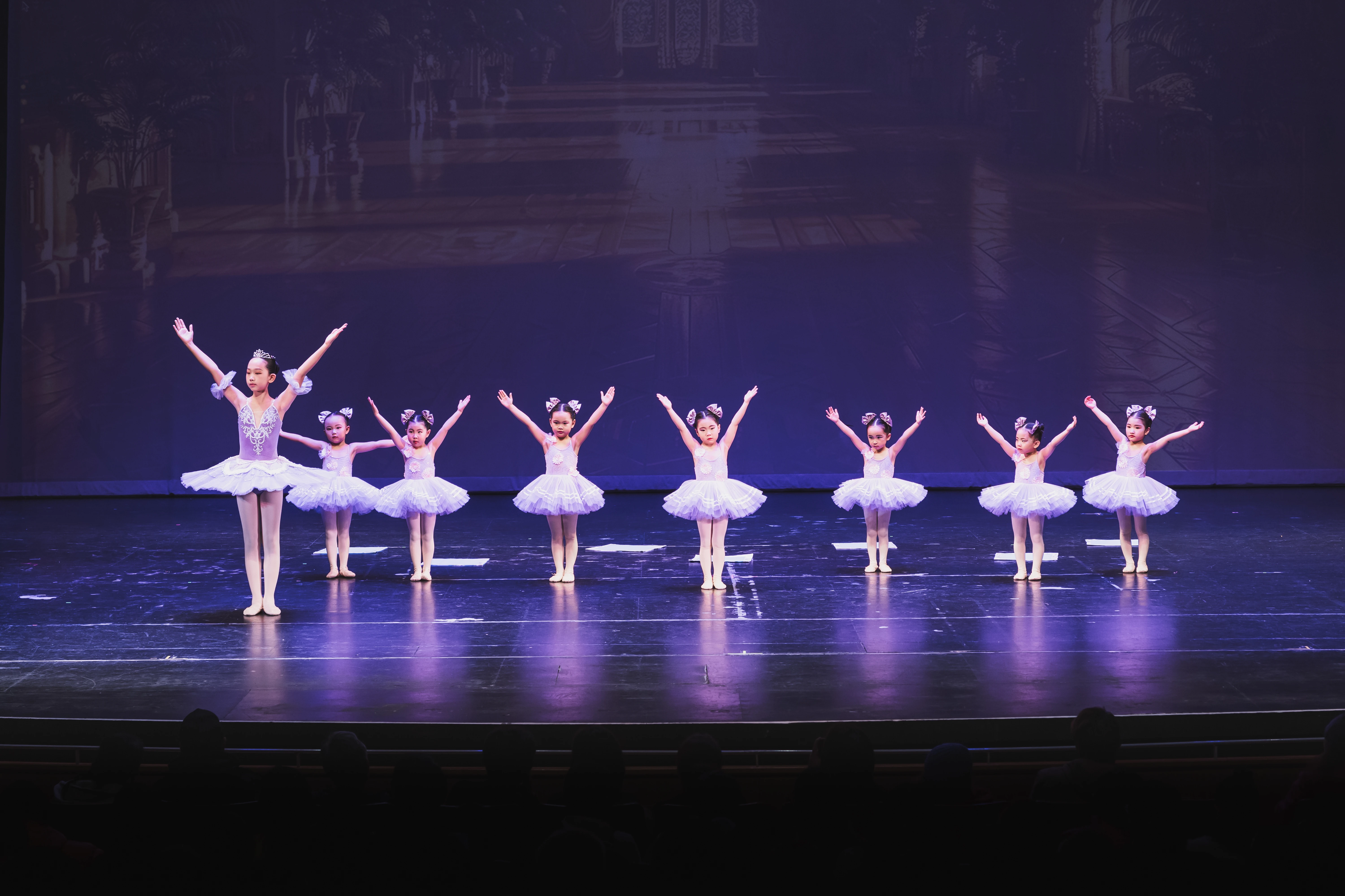 Elegance Ballet Studio Dancer