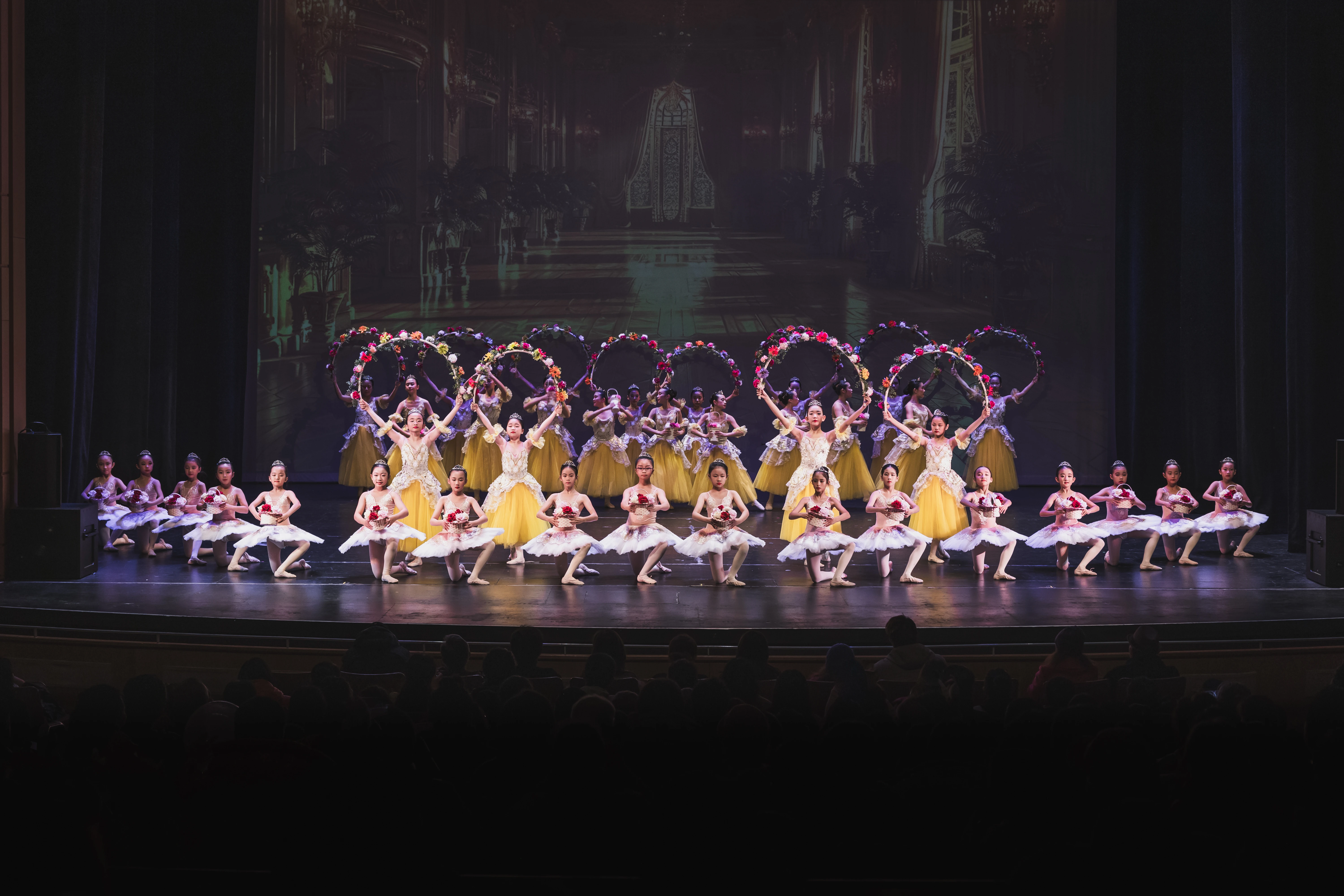 Elegance Ballet Studio Dancer