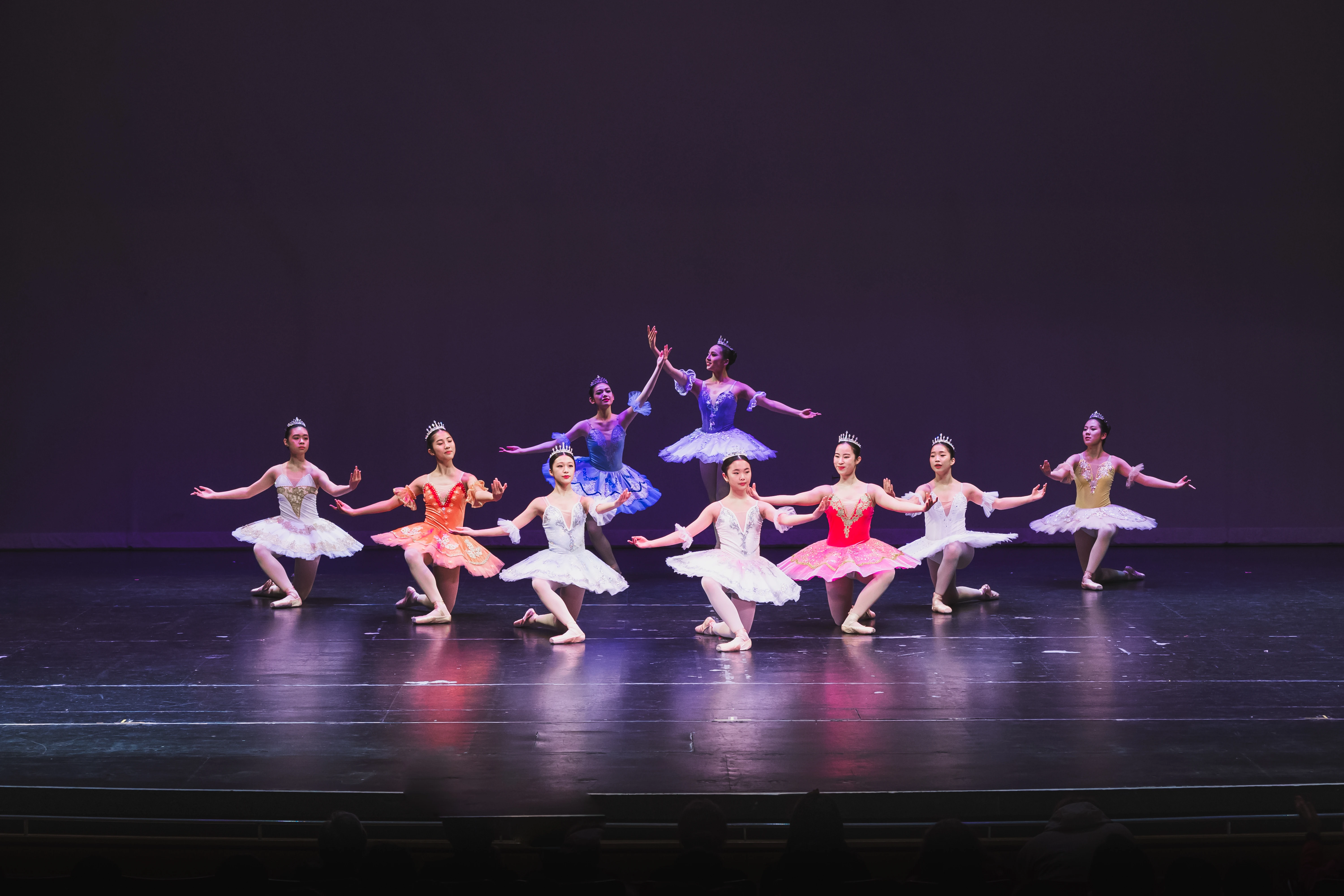 Elegance Ballet Studio Dancer