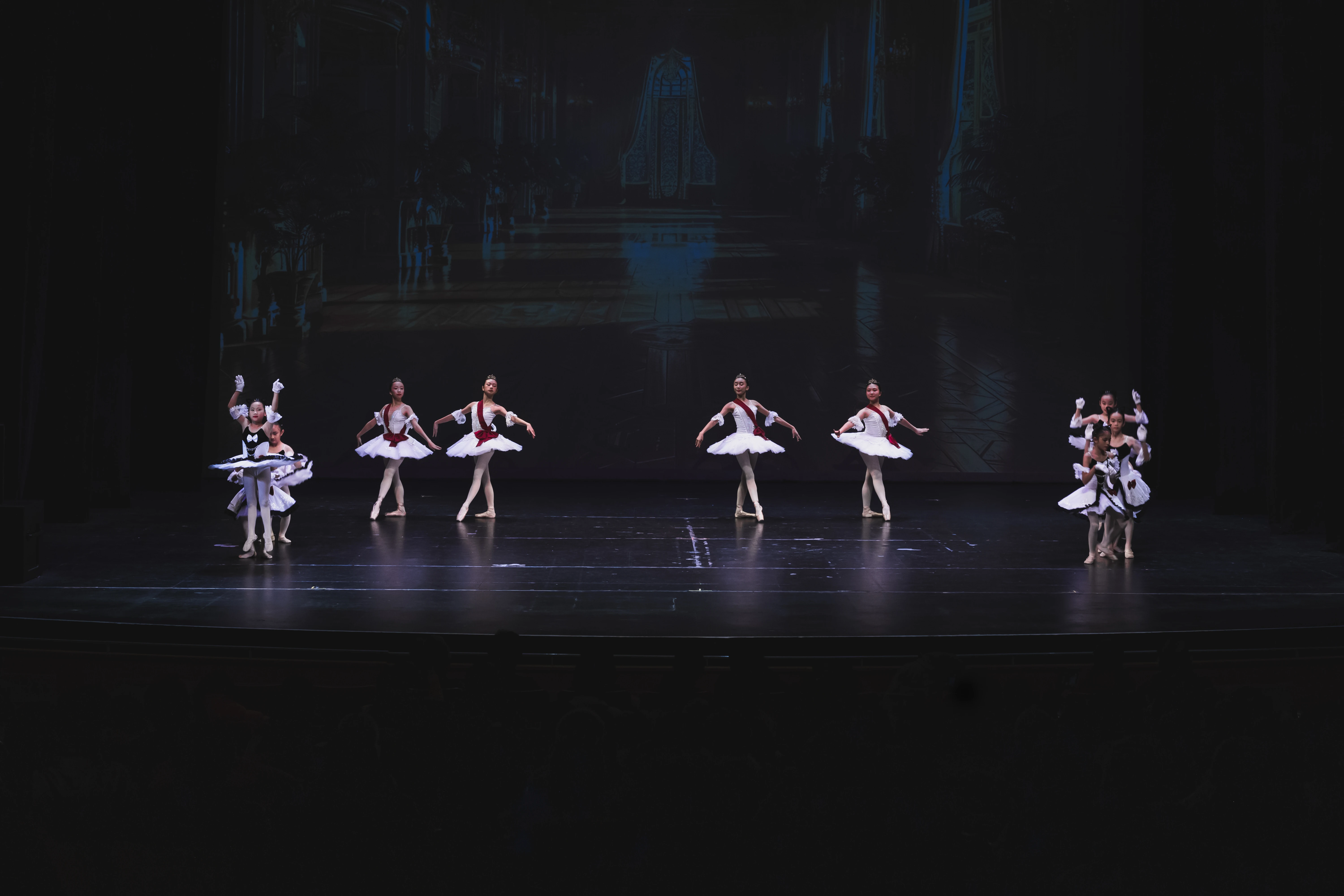 Elegance Ballet Studio Dancer
