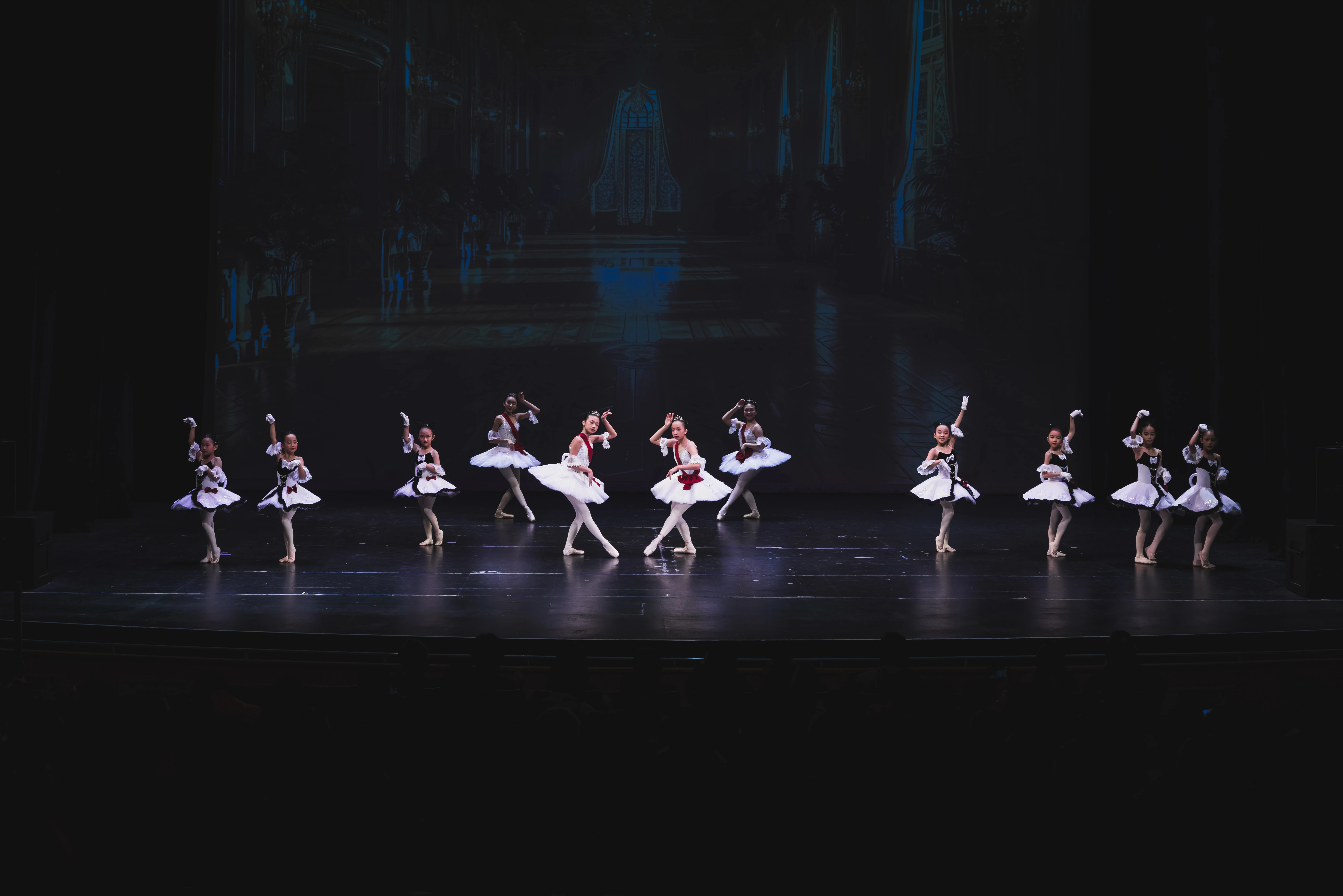 Elegance Ballet Studio Dancer