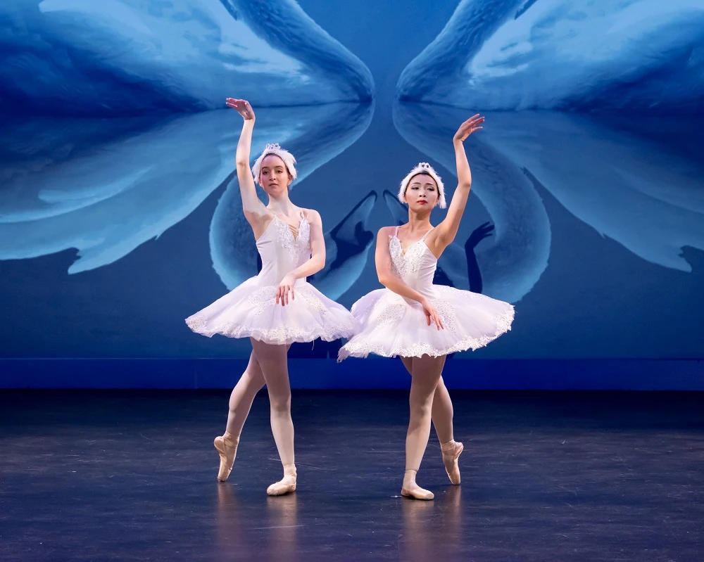Elegance Ballet Studio Dancer