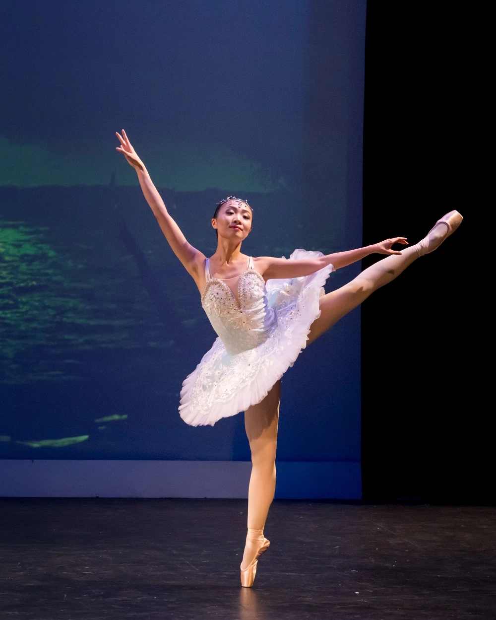 Elegance Ballet Studio Dancer