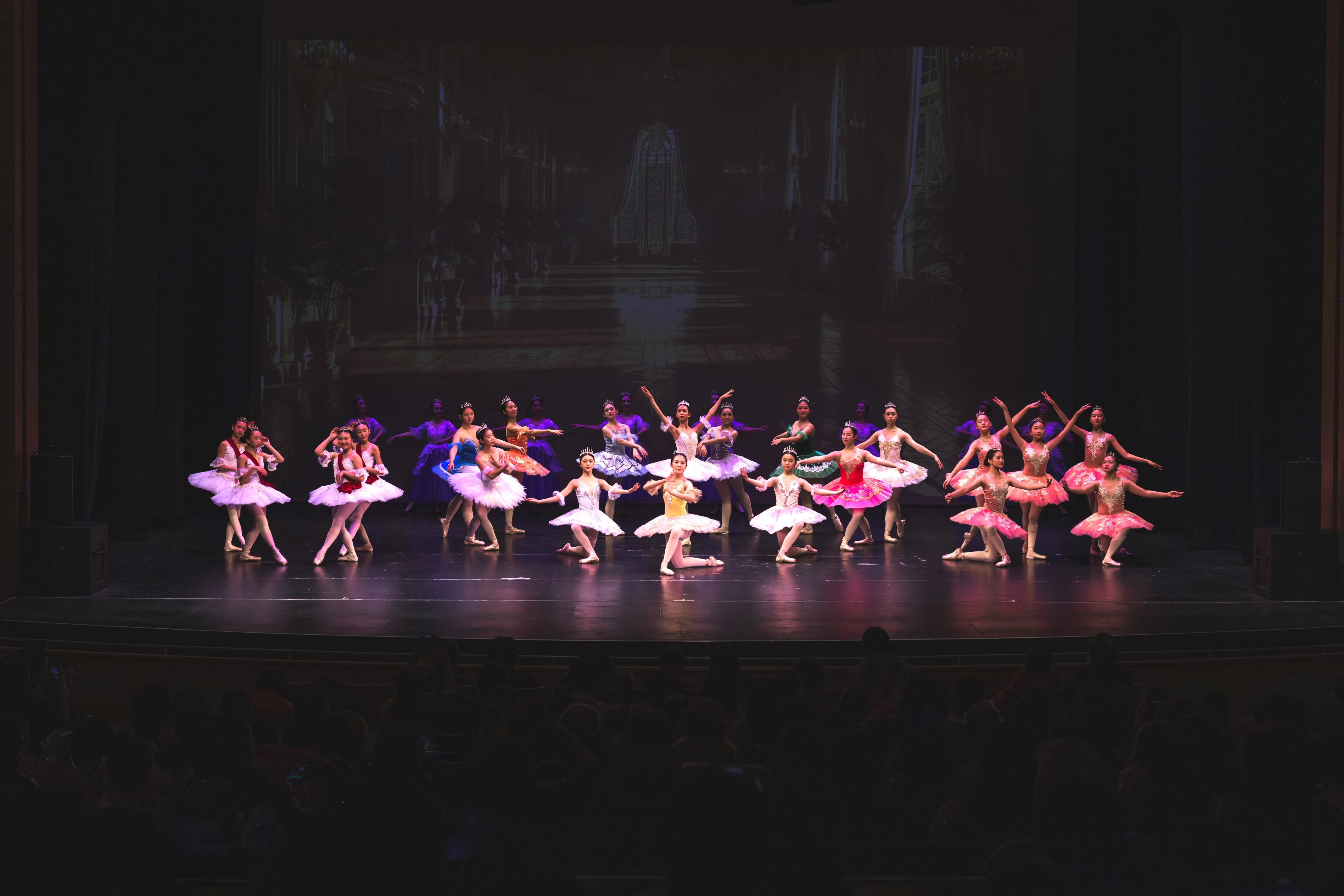 Elegance Ballet Studio Dancer